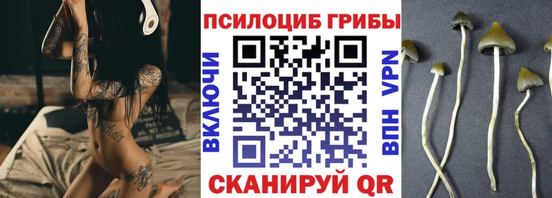 mega маркетплейс  Армянск  Галлюциногенные грибы GOLDEN TEACHER  наркота 